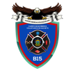 Brigadas GRA