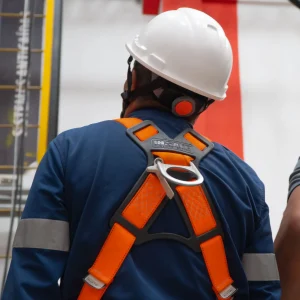 DSC07856 Correccion_13_11zon